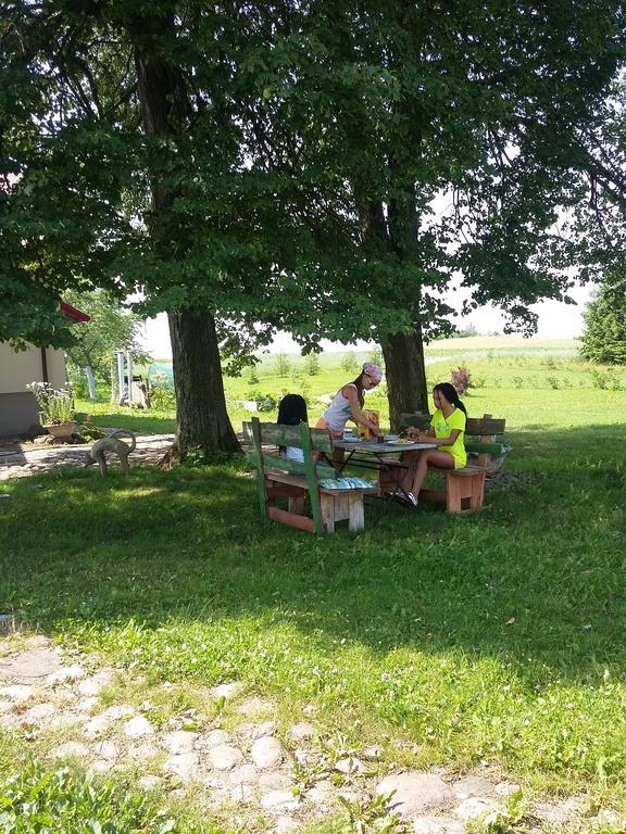 Agrocamp Villa Pawlowka  Bagian luar foto